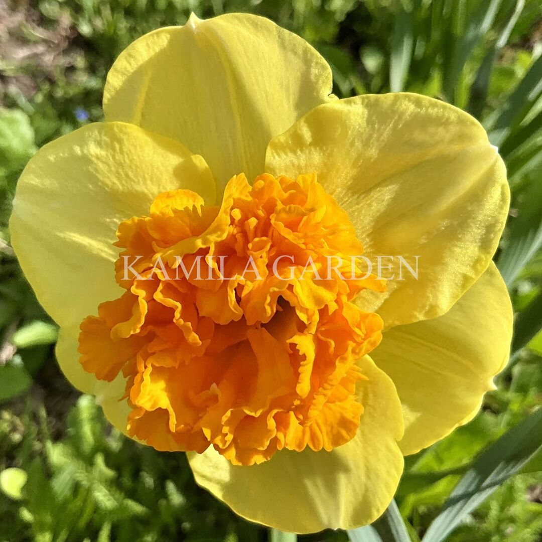 Modern Art