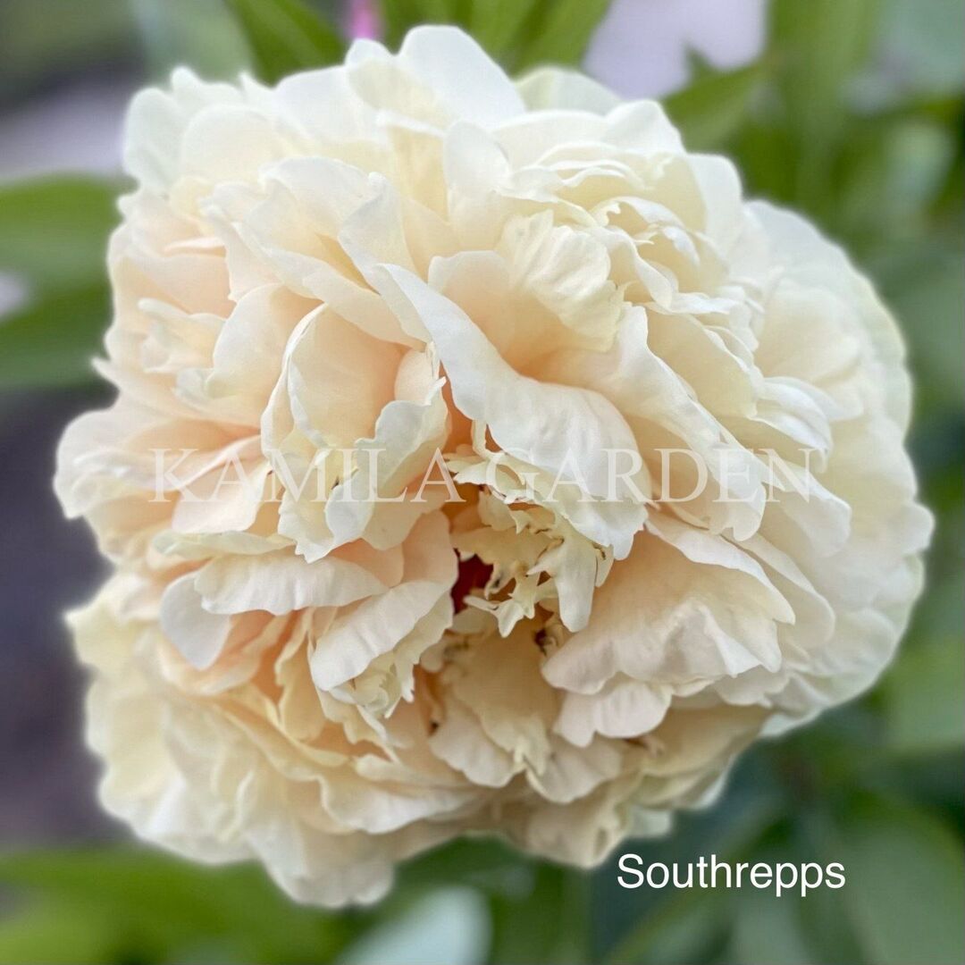 Southrepps