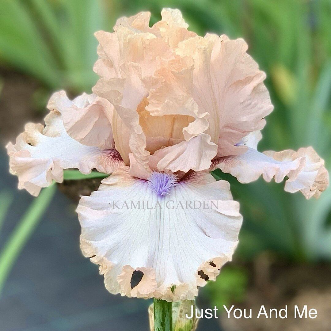 Just you and me