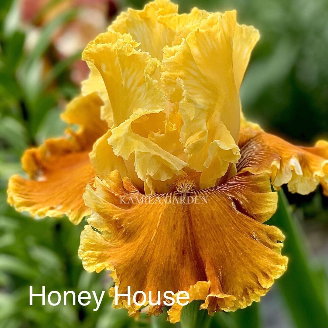 Honey house