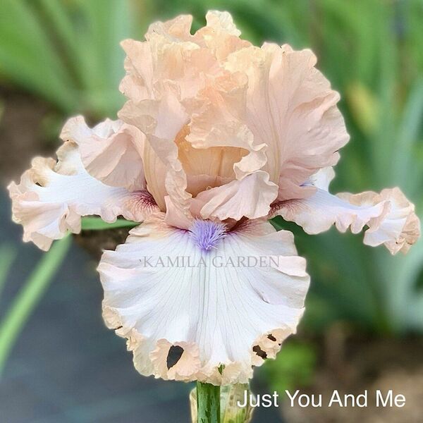 Just you and me