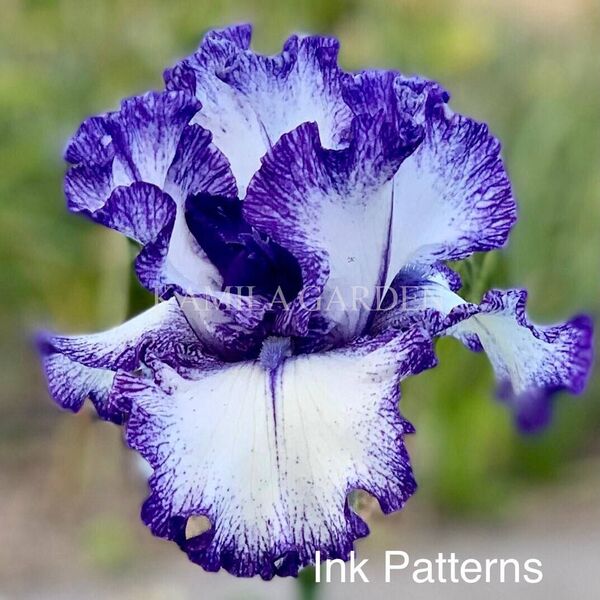 Ink patterns