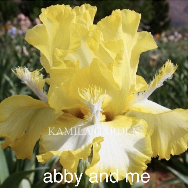 Abby and me